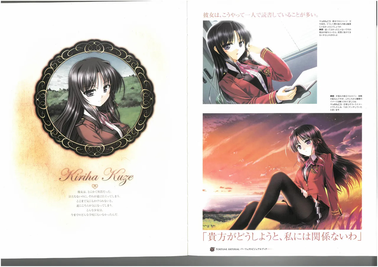 FORTUNE ARTERIAL PERFECT VISUAL BOOK - Page 46