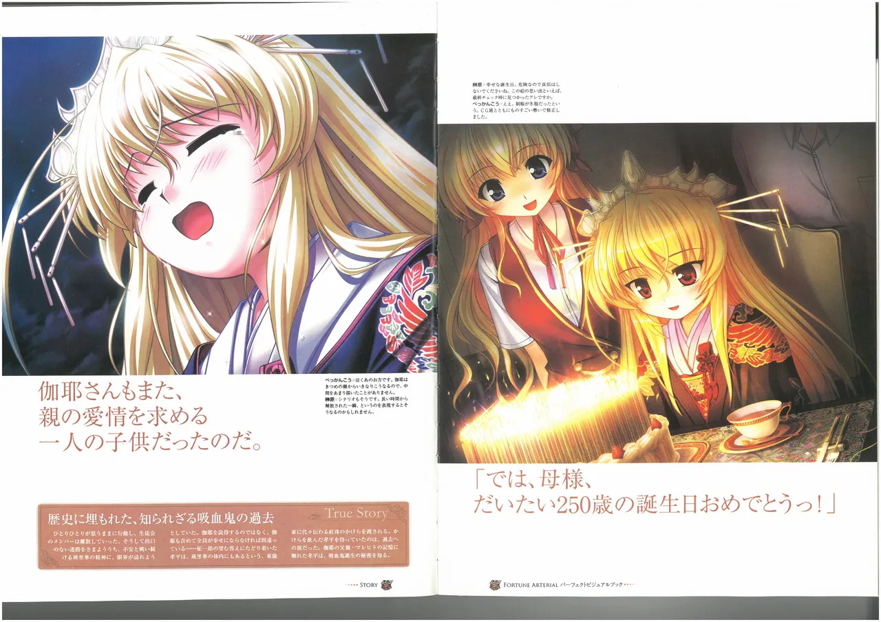 FORTUNE ARTERIAL PERFECT VISUAL BOOK - Page 48
