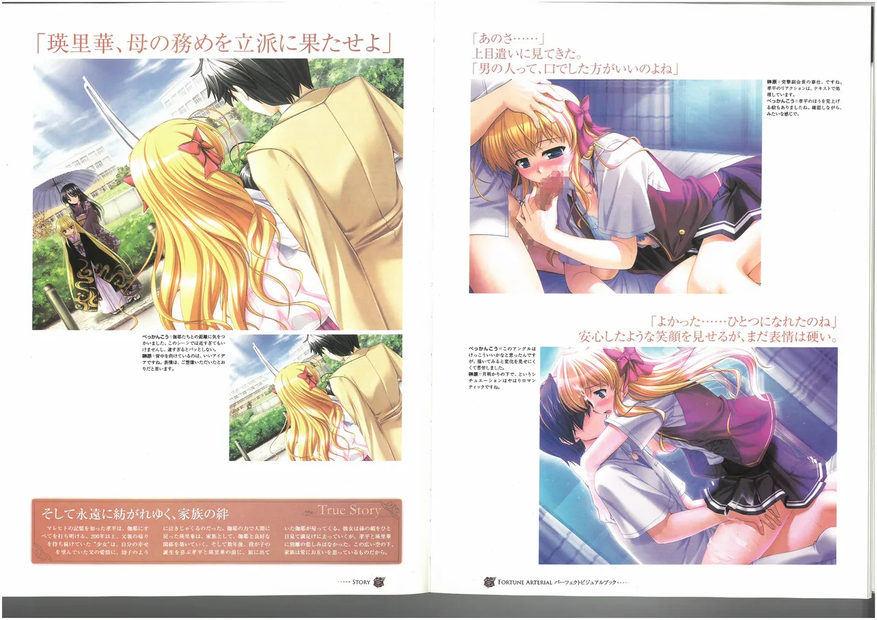 FORTUNE ARTERIAL PERFECT VISUAL BOOK - Page 49