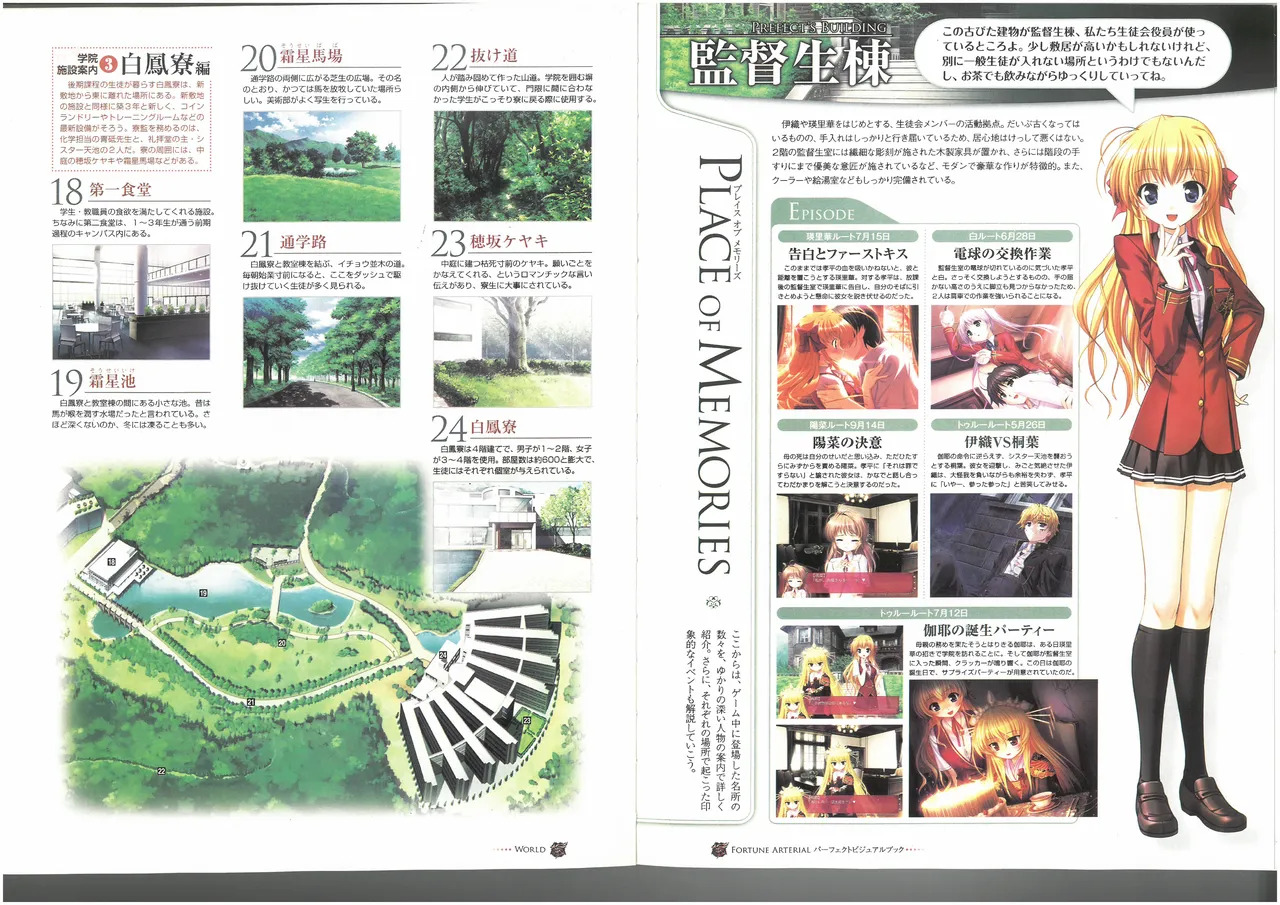 FORTUNE ARTERIAL PERFECT VISUAL BOOK - Page 53