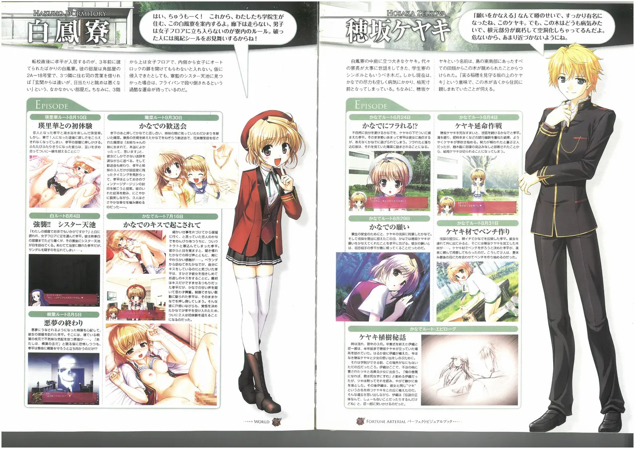 FORTUNE ARTERIAL PERFECT VISUAL BOOK - Page 55