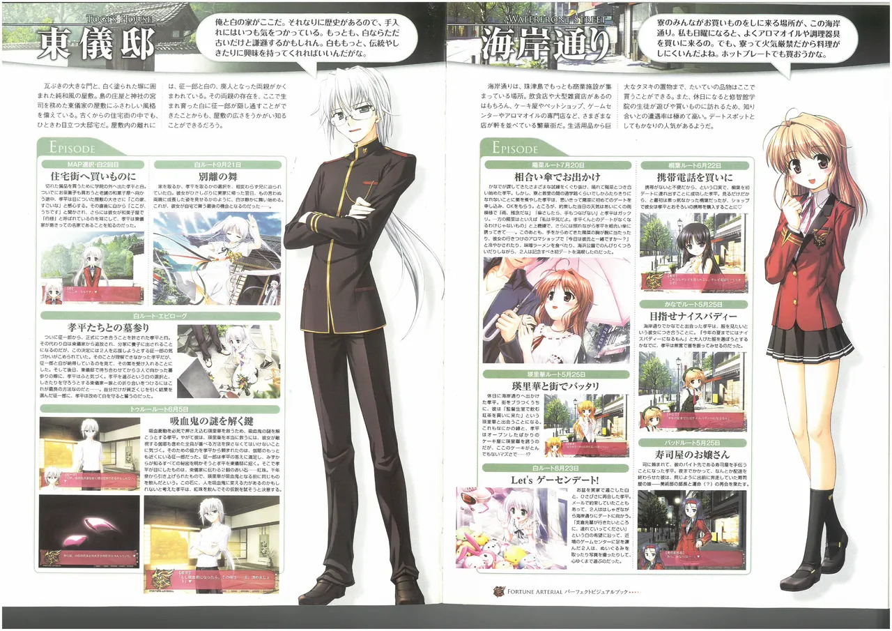 FORTUNE ARTERIAL PERFECT VISUAL BOOK - Page 56