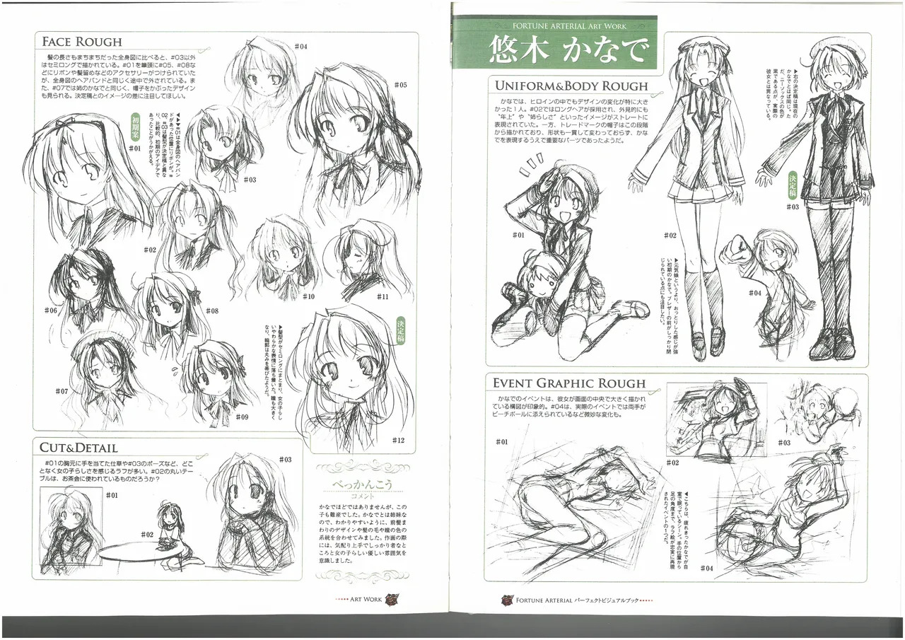 FORTUNE ARTERIAL PERFECT VISUAL BOOK - Page 62