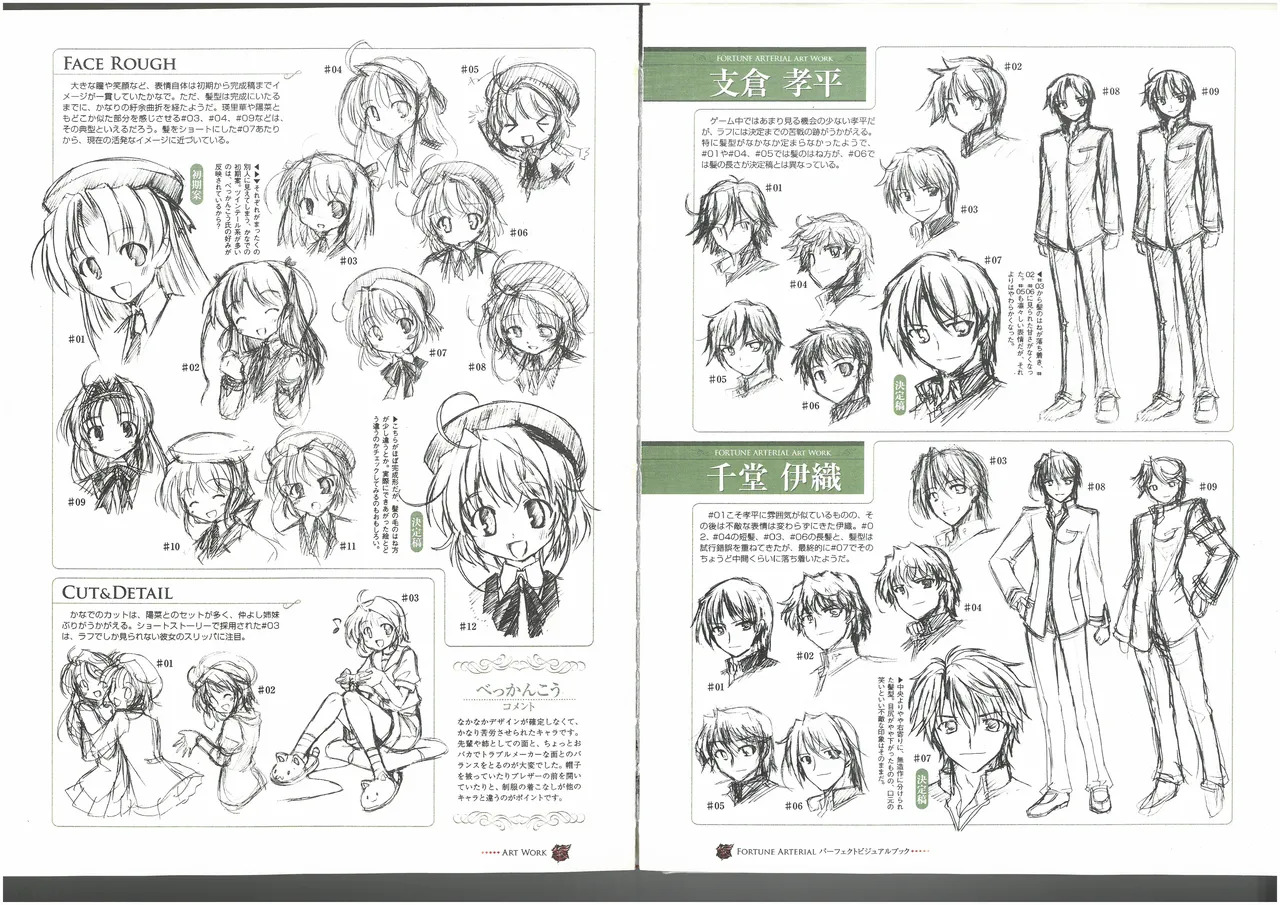 FORTUNE ARTERIAL PERFECT VISUAL BOOK - Page 63