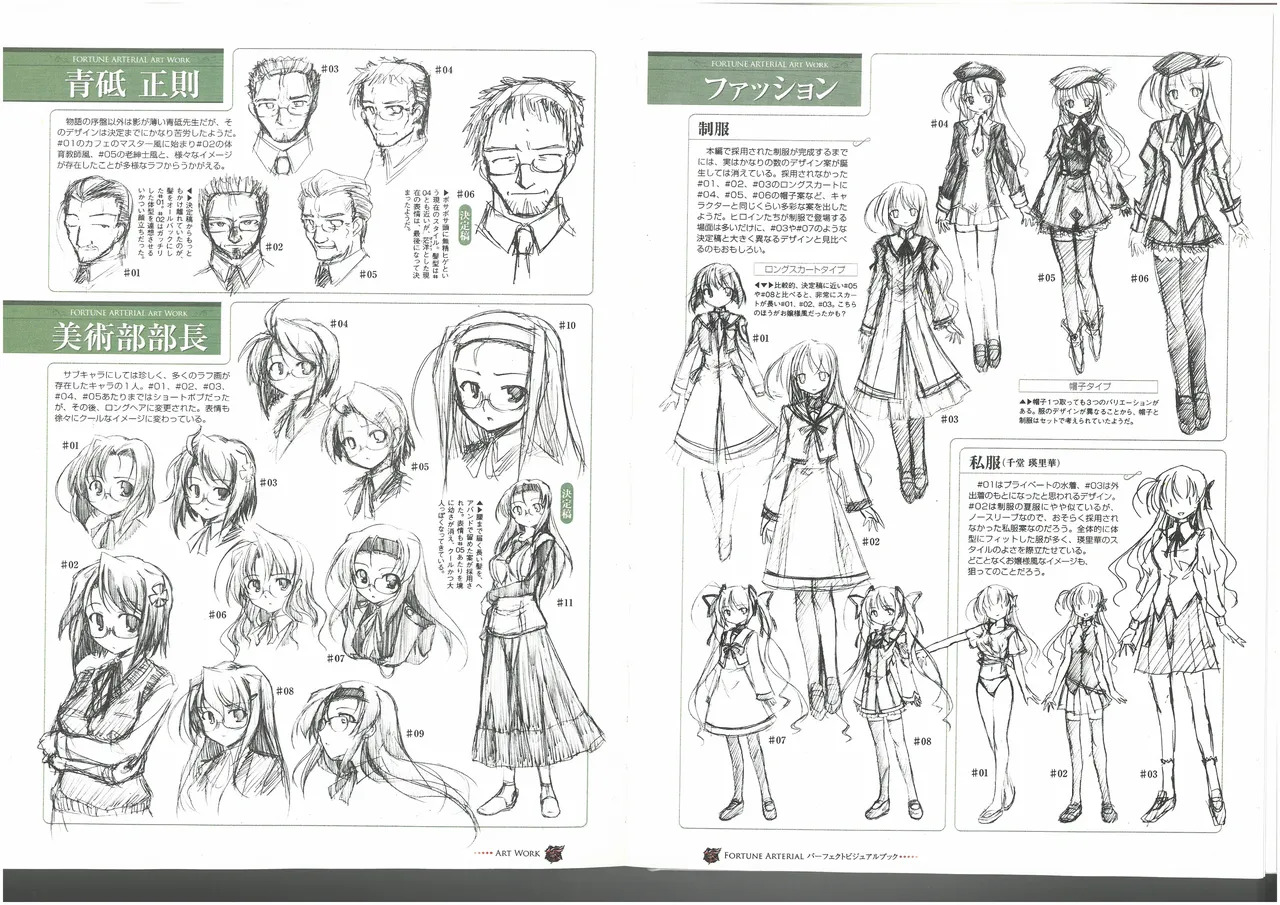 FORTUNE ARTERIAL PERFECT VISUAL BOOK - Page 65