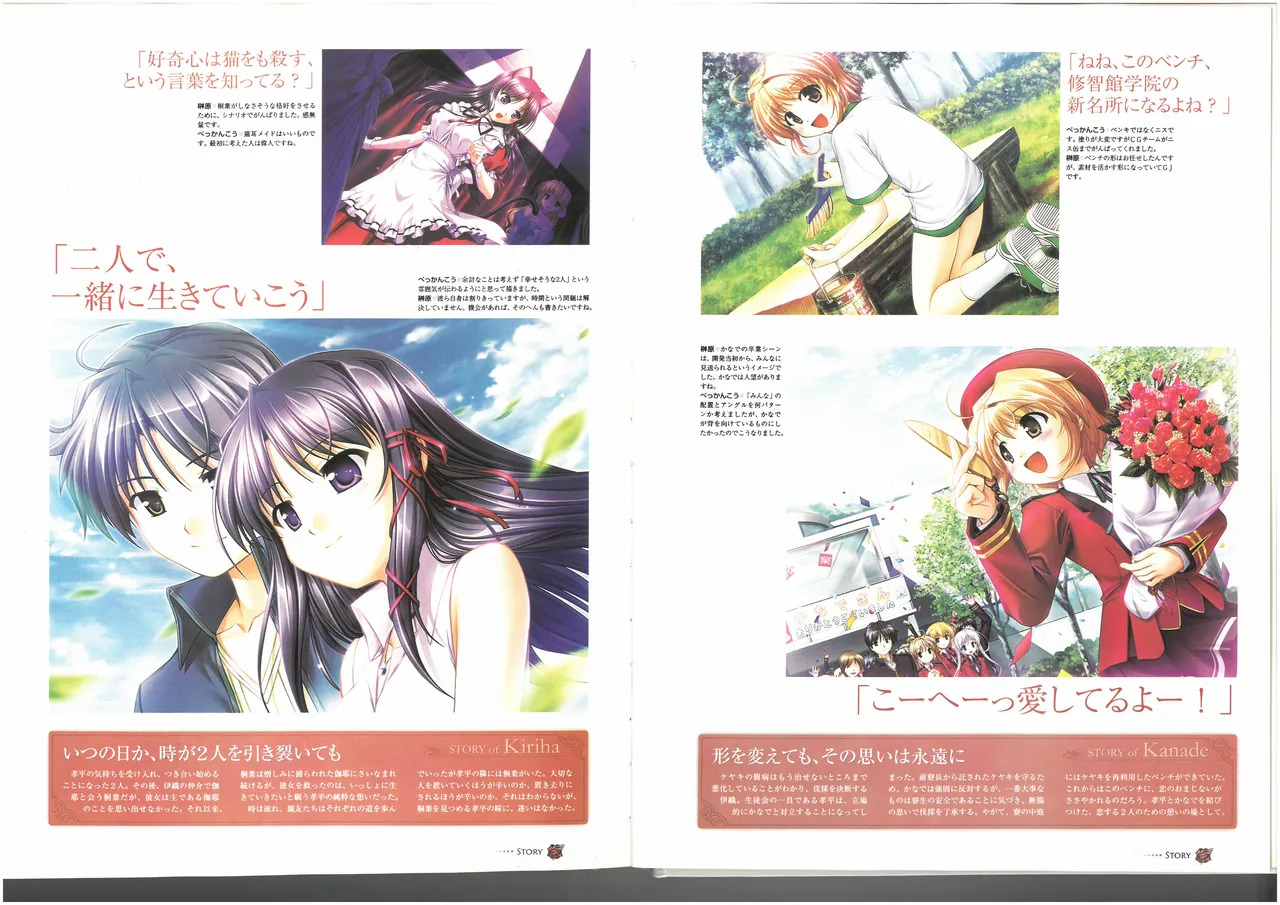 FORTUNE ARTERIAL PERFECT VISUAL BOOK - Page 69