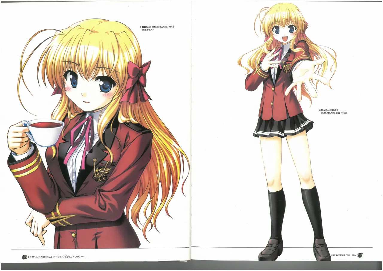 FORTUNE ARTERIAL PERFECT VISUAL BOOK - Page 9