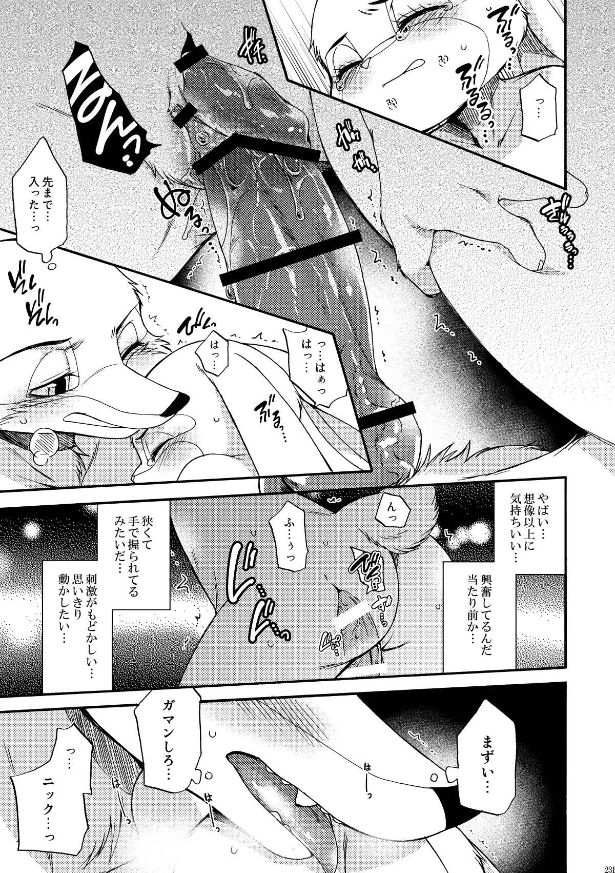 [Dogear (Inumimi Moeta)] be LOVERS Nick Judy Seijin Muke Sairoku-shuu2 (Zootopia) [Digital] - Page 231