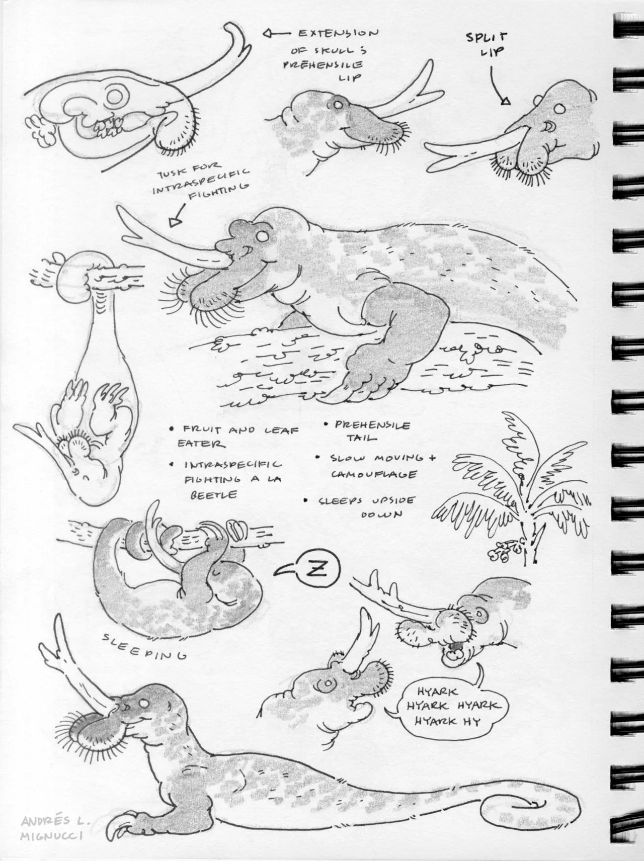 Preview page 5