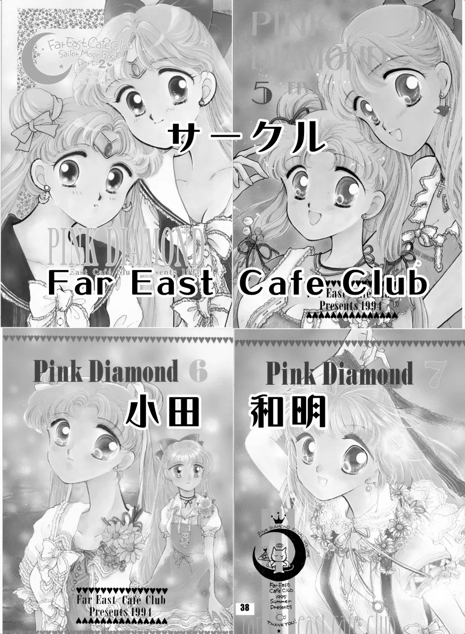[Hana Disco (Various)] Sailor Moon Dokubon (Bishoujo Senshi Sailor Moon) [Digital] - Page 37