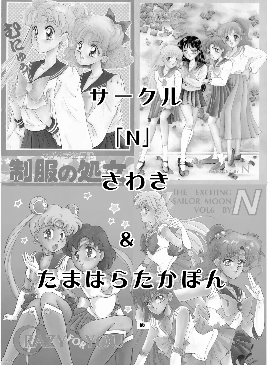 [Hana Disco (Various)] Sailor Moon Dokubon (Bishoujo Senshi Sailor Moon) [Digital] - Page 54