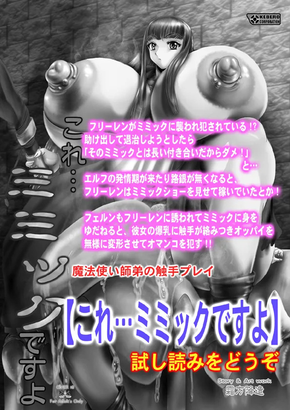 [KEBEROコーポレーション] これ…絶対にミミックですから！(葬送のフリーレン) [DL版] - Page 21