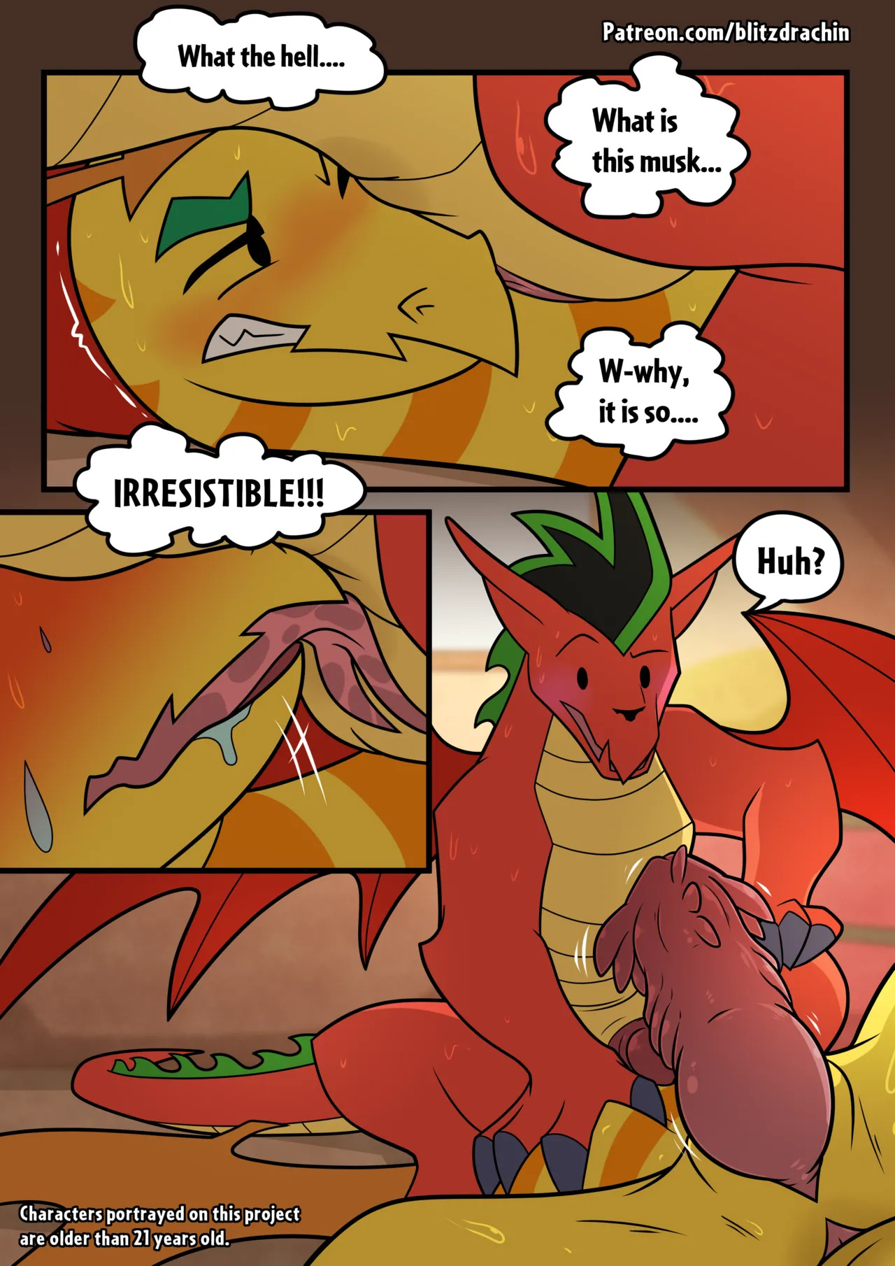 [Blitzdrachin] Dragon Lessons III - Page 11