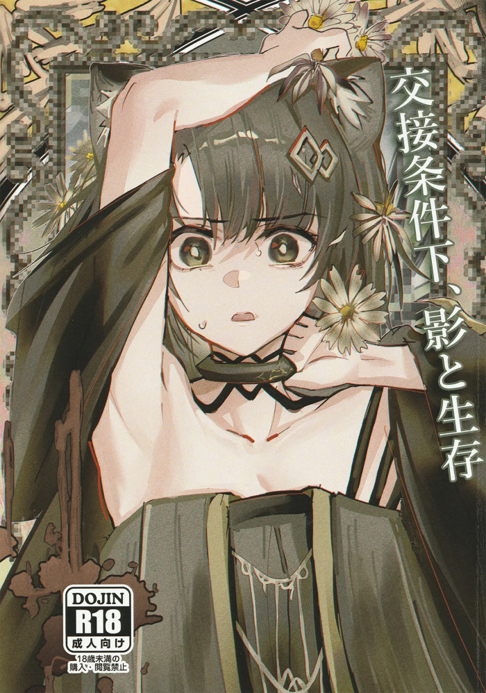 (C107) [Flat Plaque (Kagura)] Kousetsu Joukenka, Kage to Seizon (Arknights)