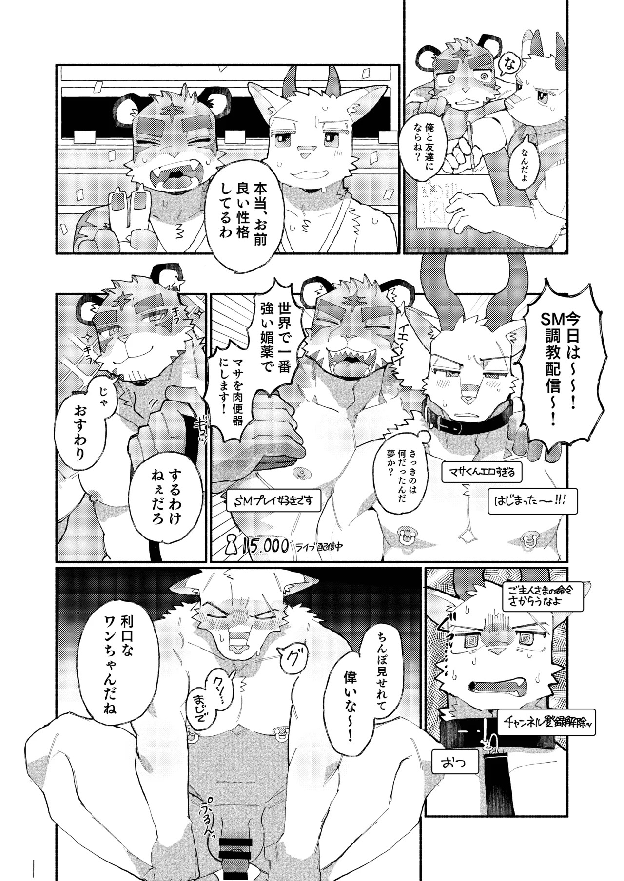 [めしかわしーくる] おれたちぼくたちストリーマー [Japanese] [Digital] - Page 16