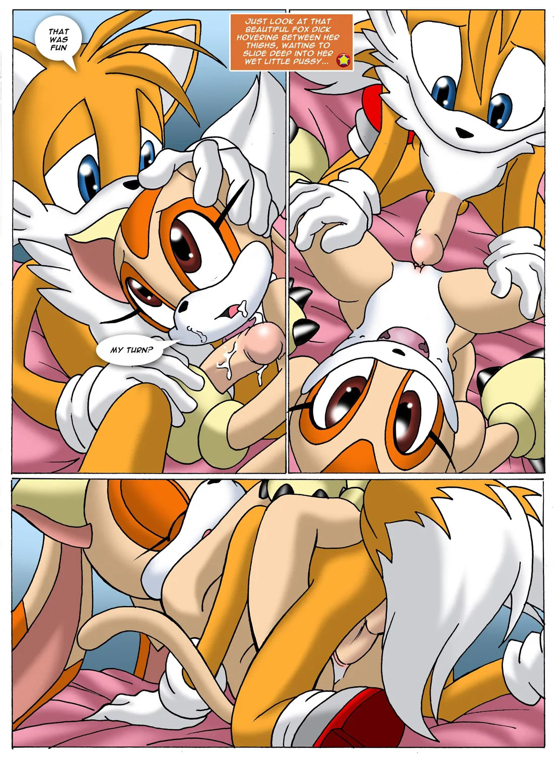 Mobius Unleashed: Sonic Project XXX (Extended) - Page 29