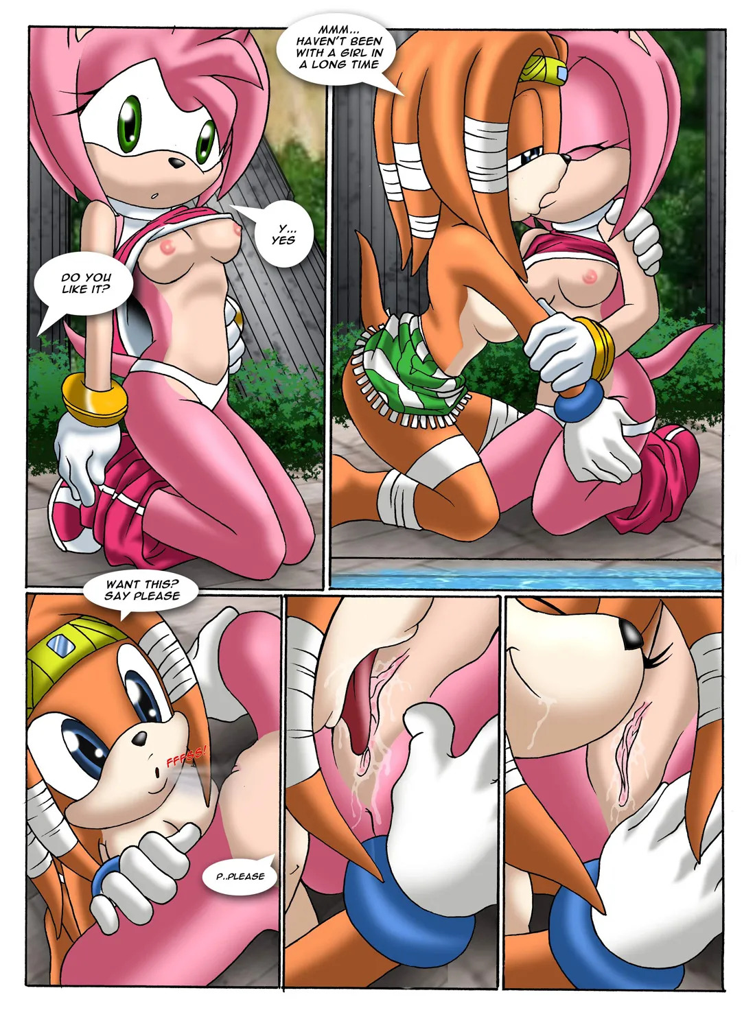 Mobius Unleashed: Sonic Project XXX (Extended) - Page 34