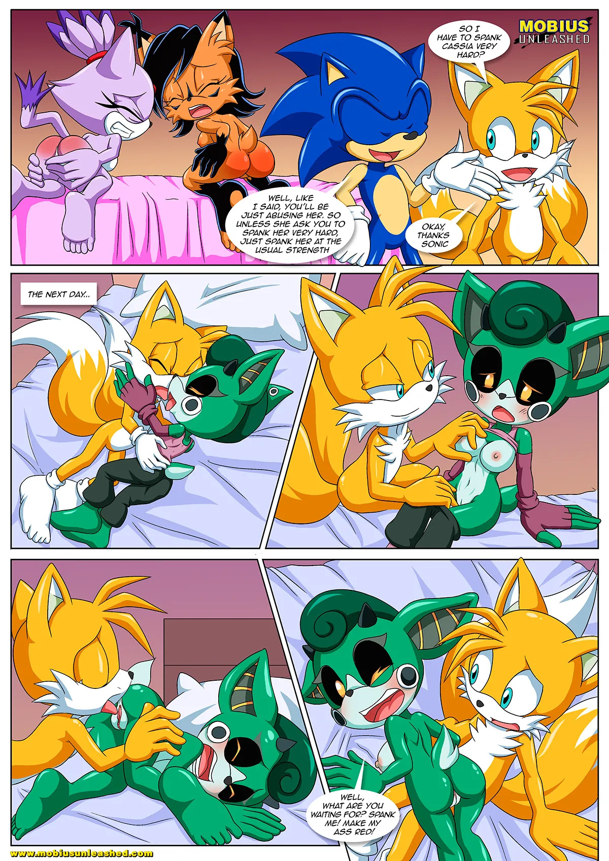 Mobius Unleashed: Sonic's Guide To Spanking (Extended) - Page 9