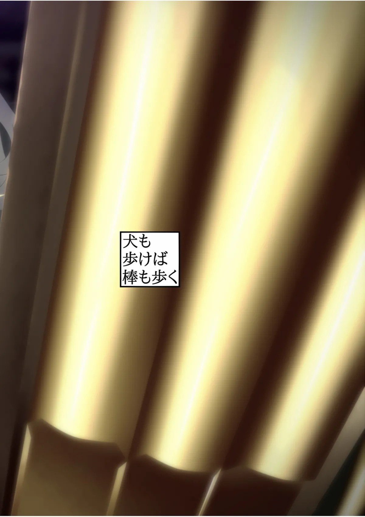 [犬も歩けば棒も歩く (mototenn)] ホメオスタシス (戦姫絶唱シンフォギア) [DL版] - Page 15
