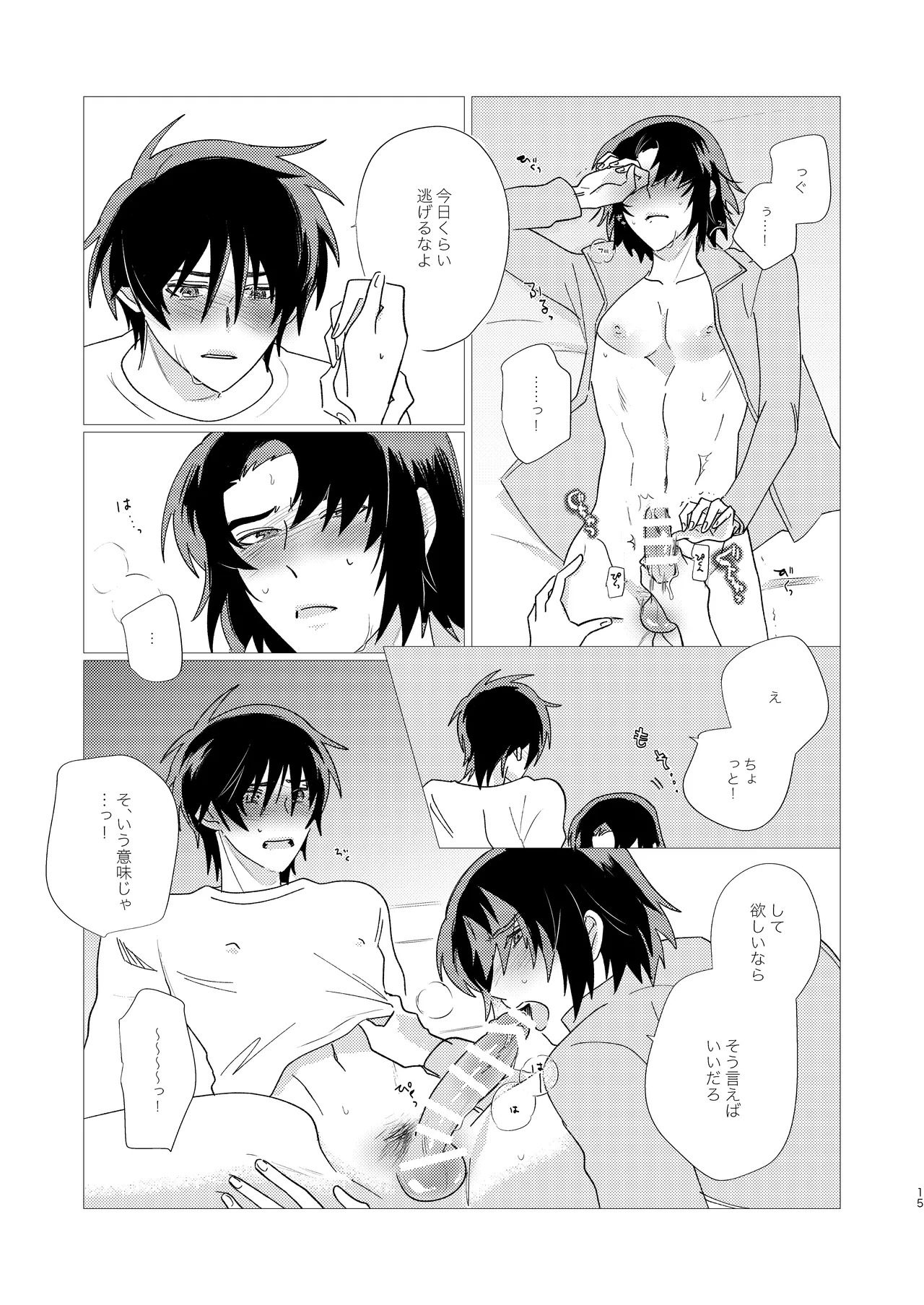 [いぶし貧 (namaGX)] そりゃしたいですよ！ (Gundam Seed Destiny) [Digital] - Page 14