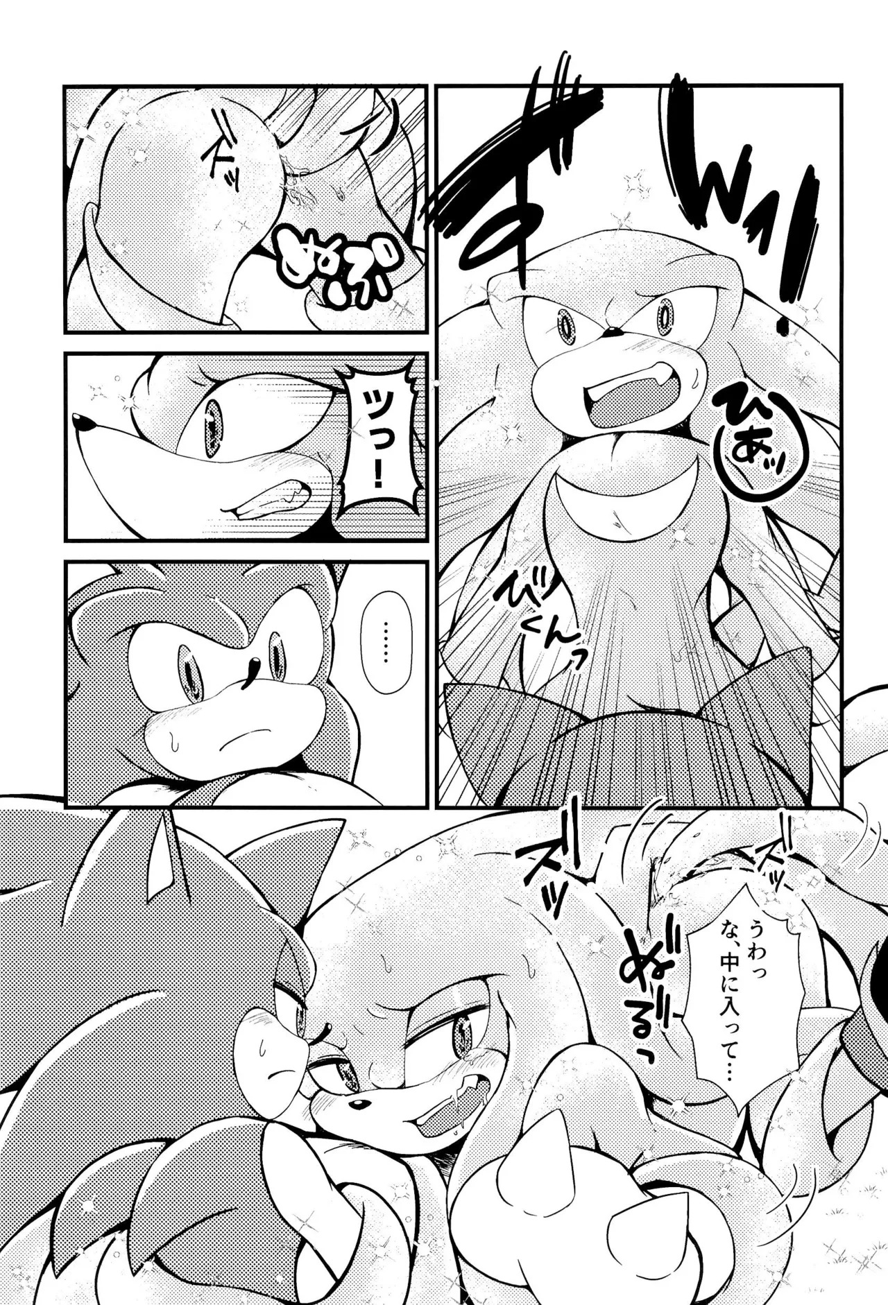 [Great Escape! (kot)] Bousou Quill Overflow! (Sonic the Hedgehog) - Page 13