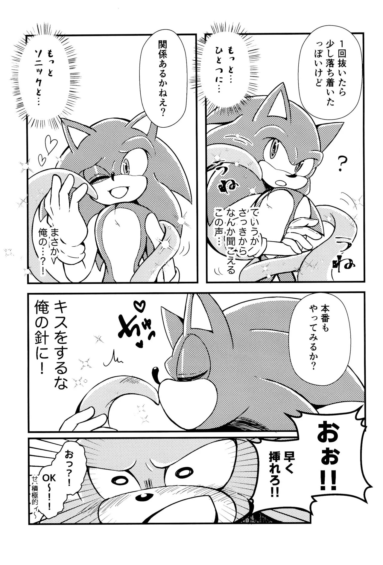[Great Escape! (kot)] Bousou Quill Overflow! (Sonic the Hedgehog) - Page 17