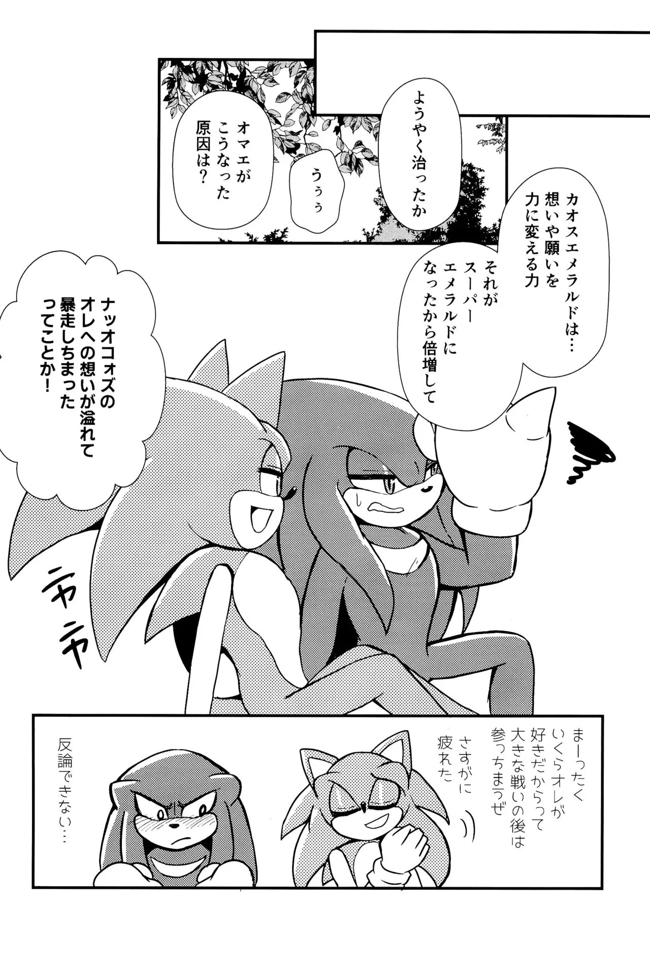 [Great Escape! (kot)] Bousou Quill Overflow! (Sonic the Hedgehog) - Page 22
