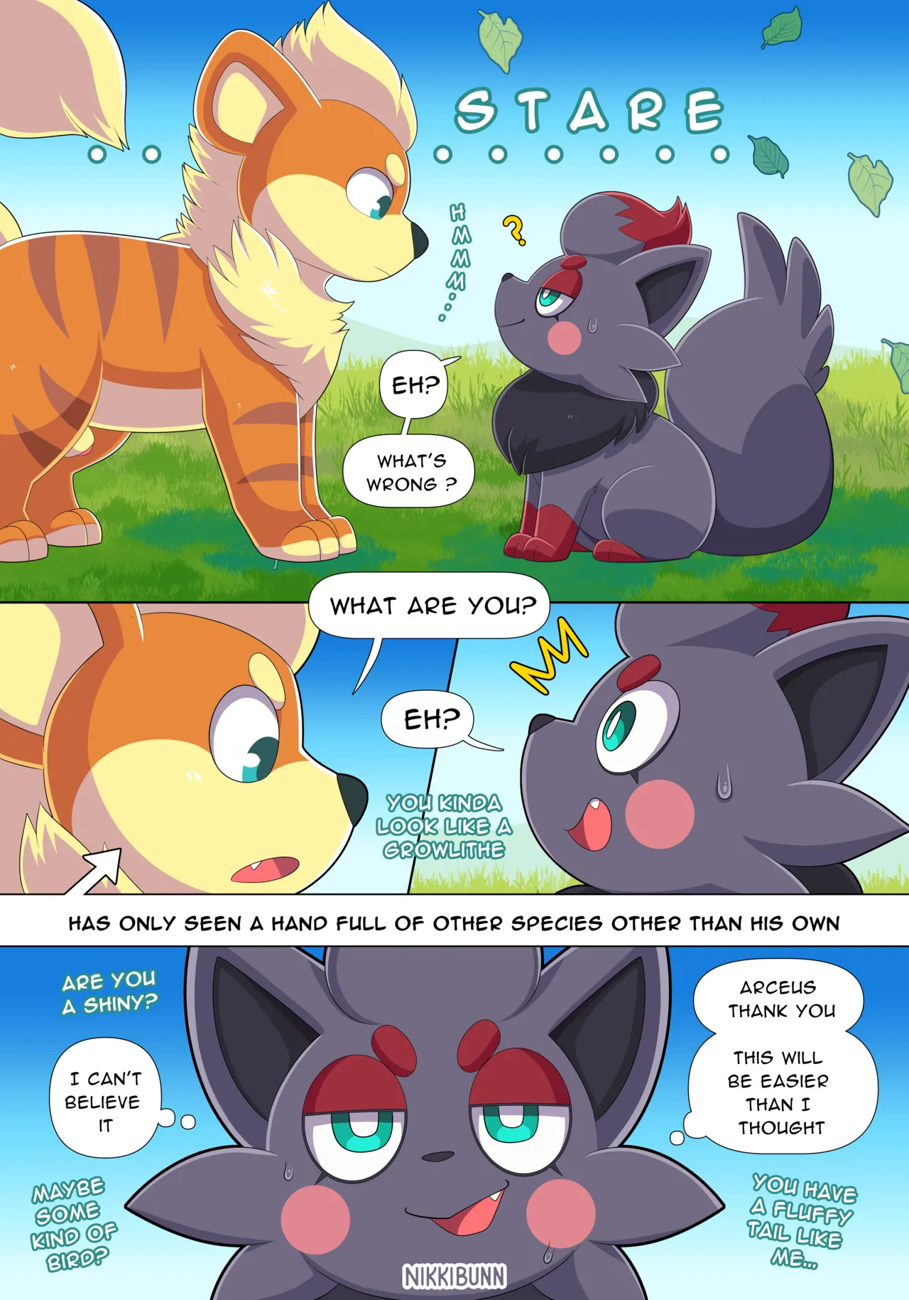 Preview page 5