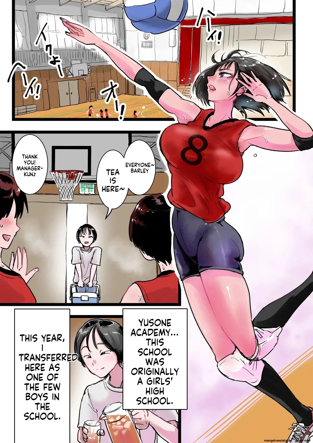 Women's volleyball club history - Page 2