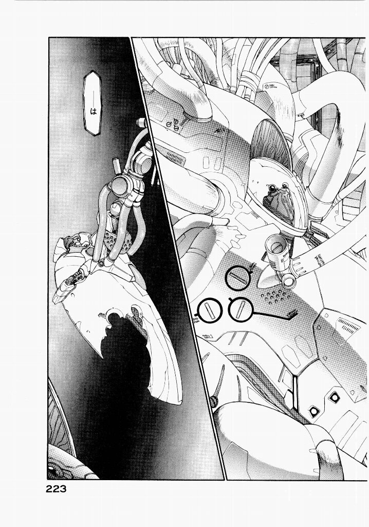 [UROBOROS (Utatane Hiroyuki)] Seraphic Feather 02 - Page 227