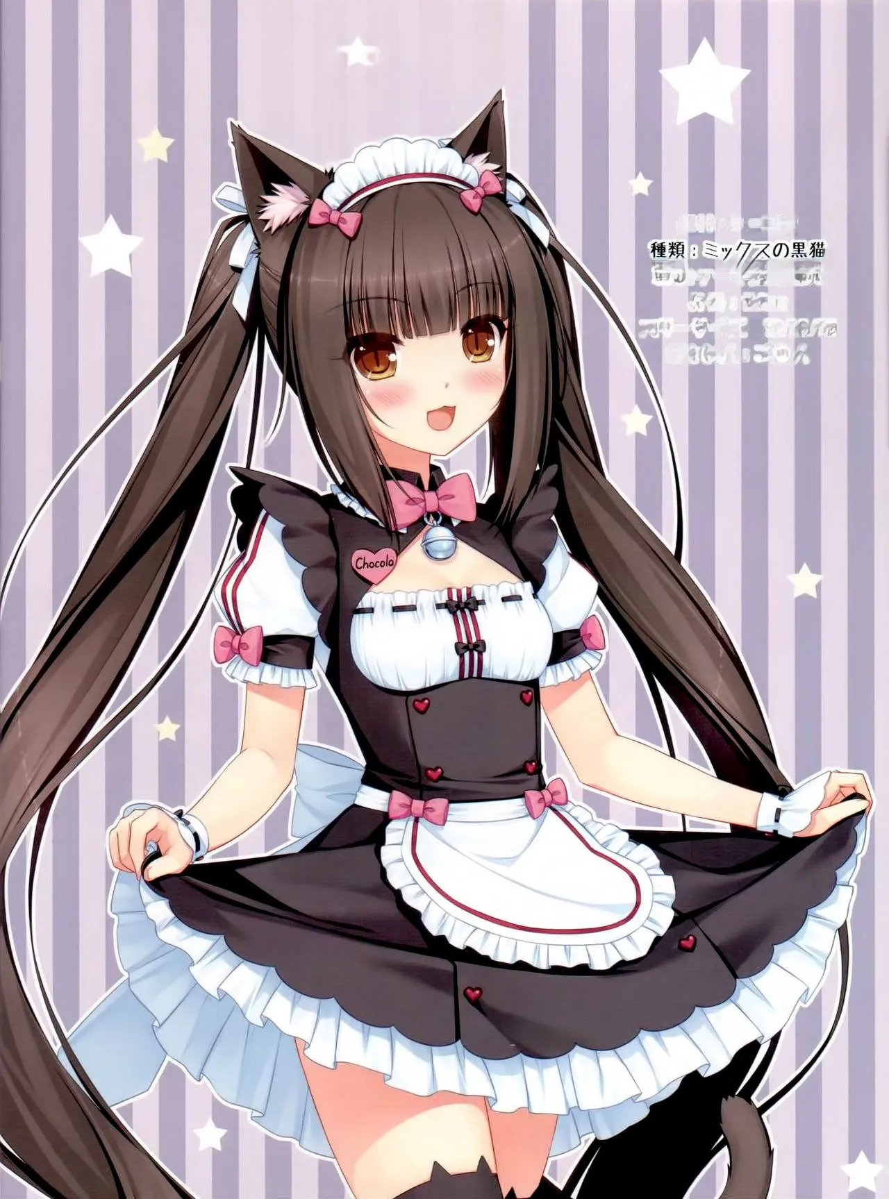 (C84) [NEKO WORKs (Sayori)] Nekopara 01 (English, MTL) - Page 11