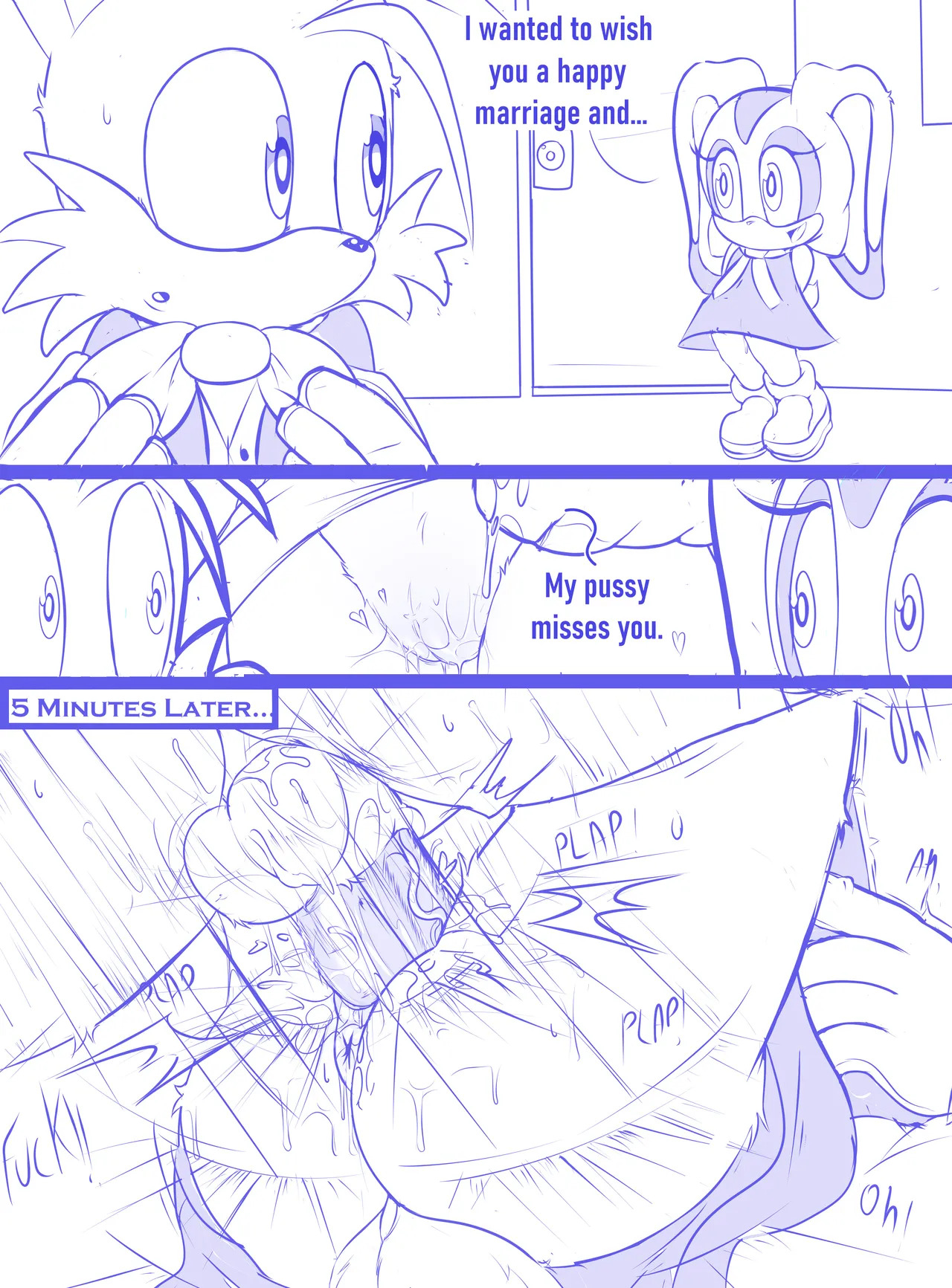 [Sheecktor] Cream & Tails (Sonic the Hedgehog) - Page 11