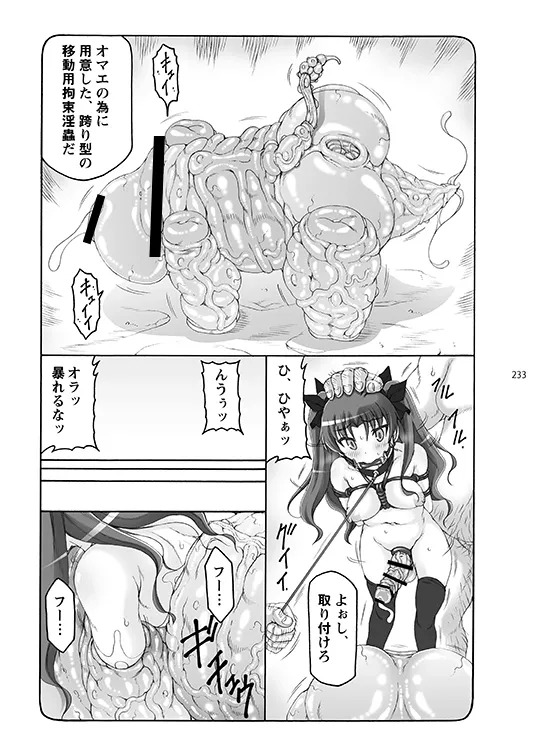 [Abarenbou Tengu (Izumi Yuujiro)] Kotori (Fate/stay night) [Digital] - Page 233