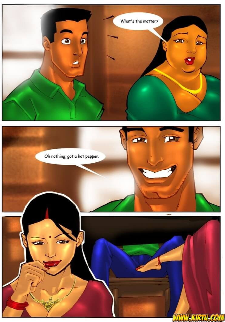 Savita Bhabhi Episode 3 The Party (English) - Page 22