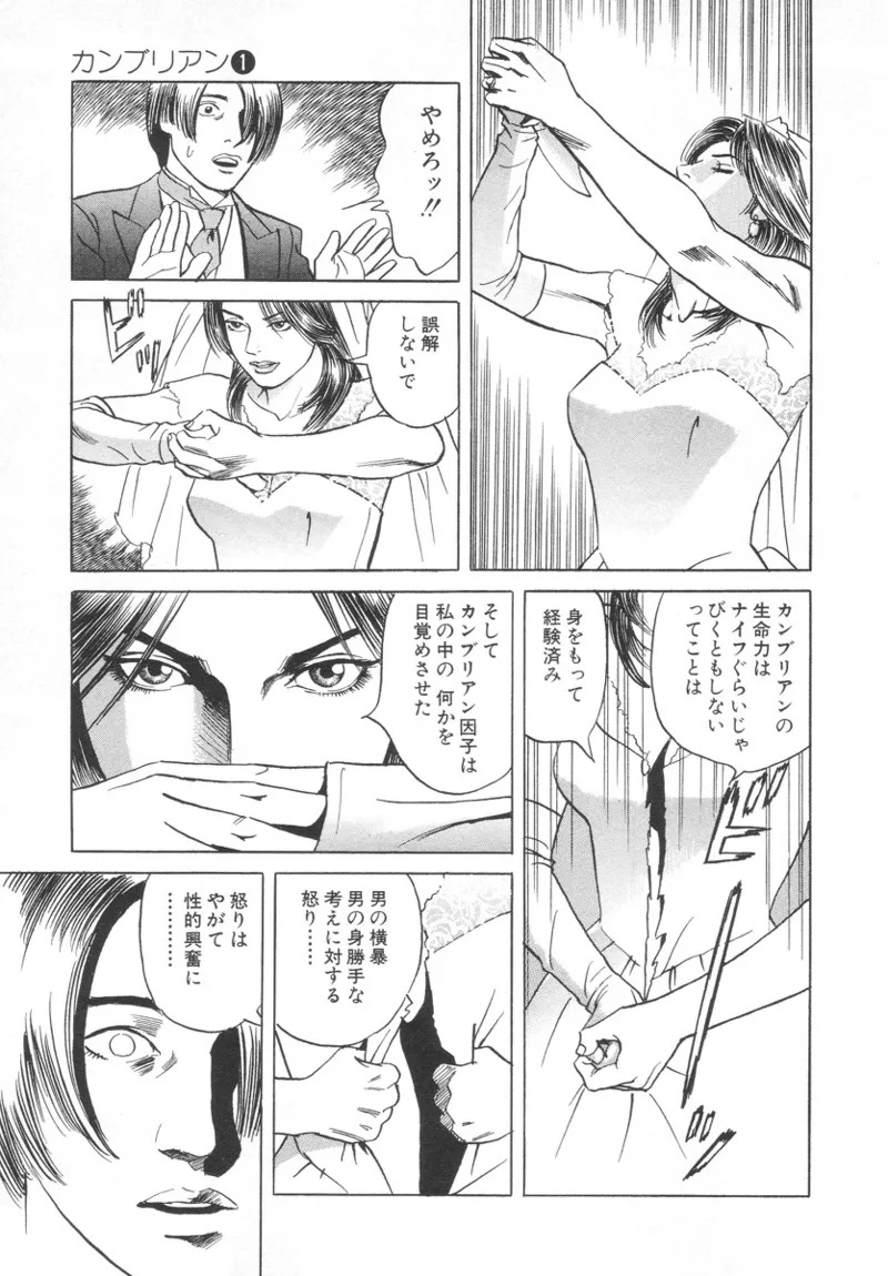 [Noboru Miyama] Kanburian Kanzenban Cambrian 01 - Page 121
