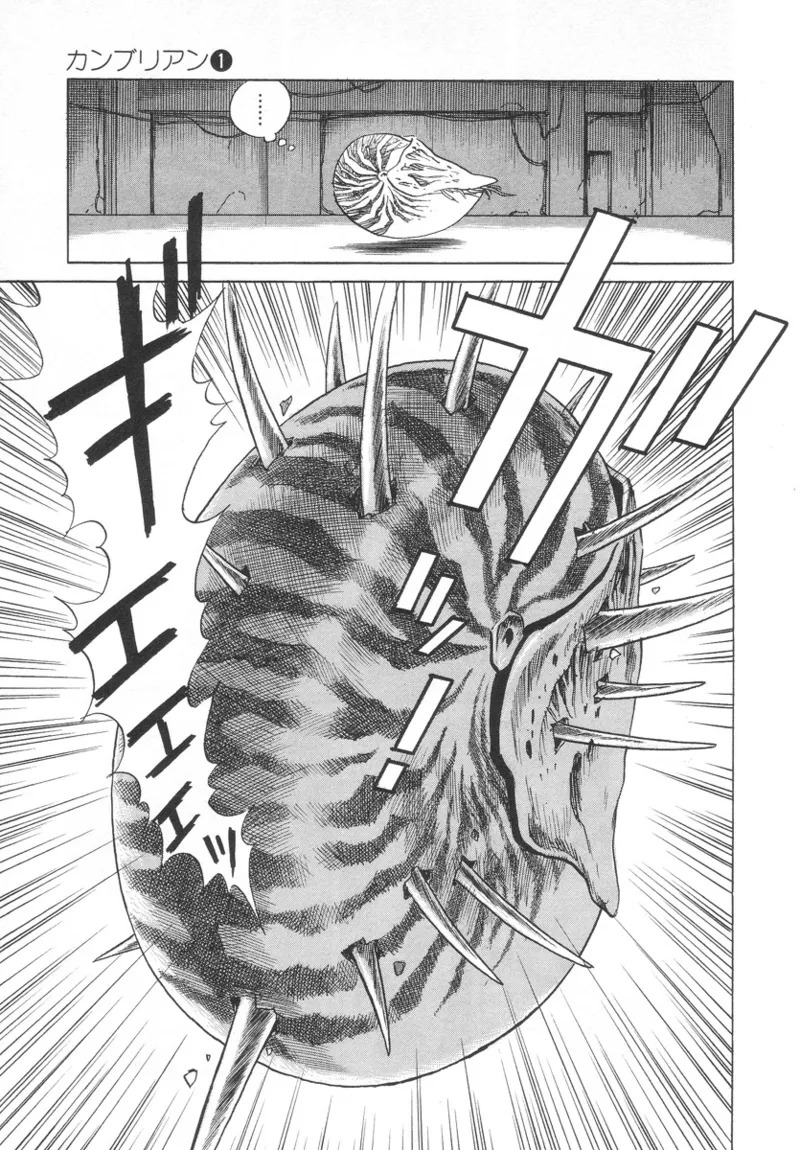 [Noboru Miyama] Kanburian Kanzenban Cambrian 01 - Page 127