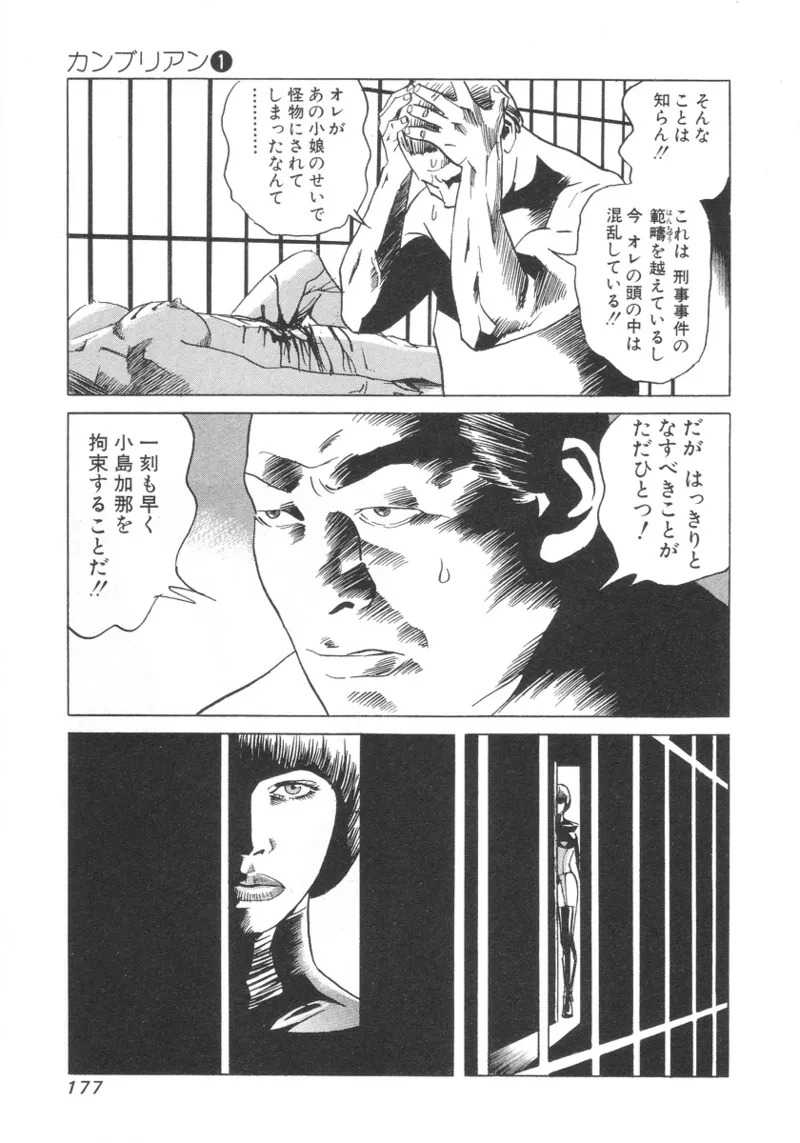 [Noboru Miyama] Kanburian Kanzenban Cambrian 01 - Page 176