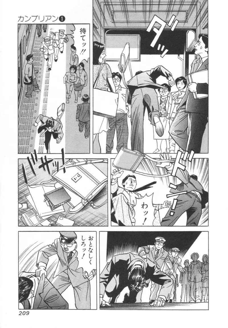 [Noboru Miyama] Kanburian Kanzenban Cambrian 01 - Page 207