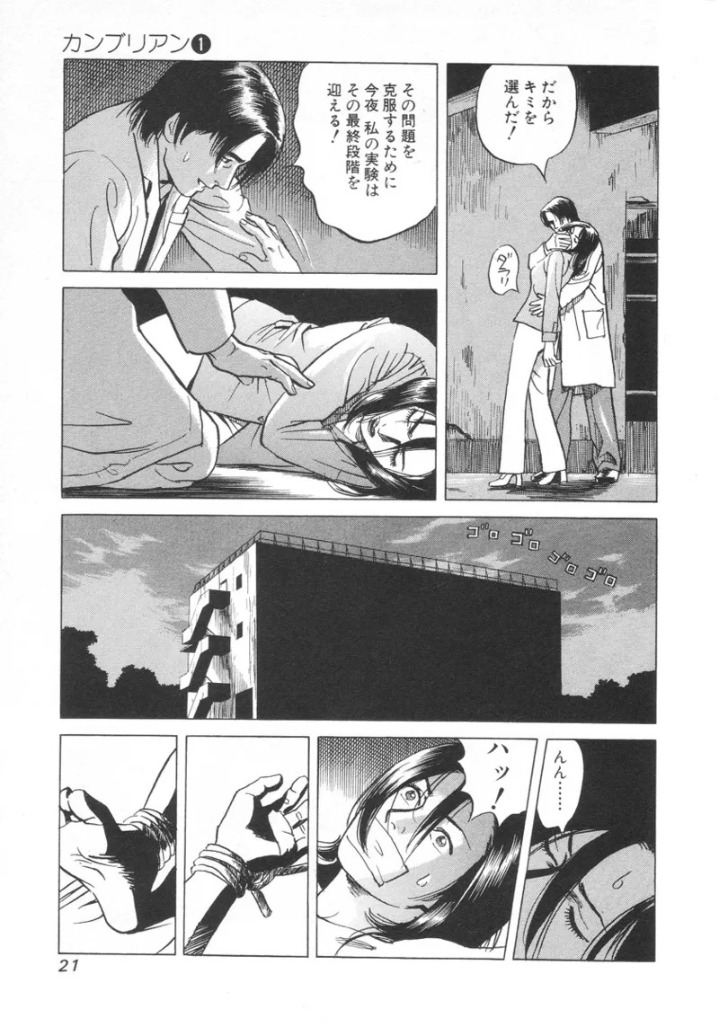 [Noboru Miyama] Kanburian Kanzenban Cambrian 01 - Page 22