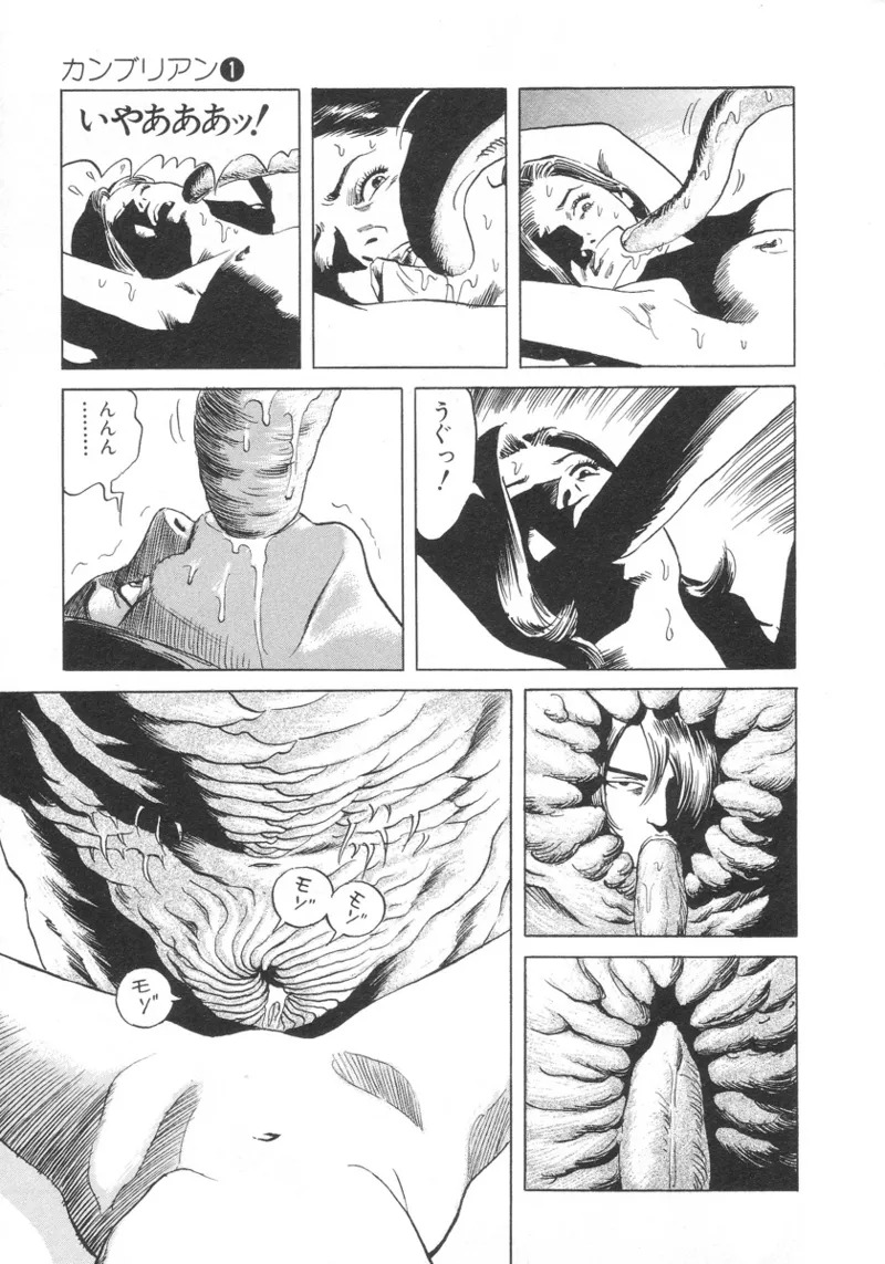 [Noboru Miyama] Kanburian Kanzenban Cambrian 01 - Page 26