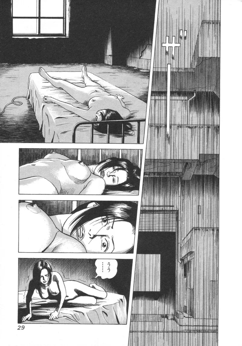 [Noboru Miyama] Kanburian Kanzenban Cambrian 01 - Page 30