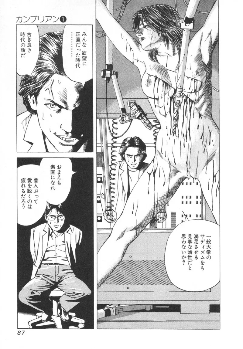 [Noboru Miyama] Kanburian Kanzenban Cambrian 01 - Page 87
