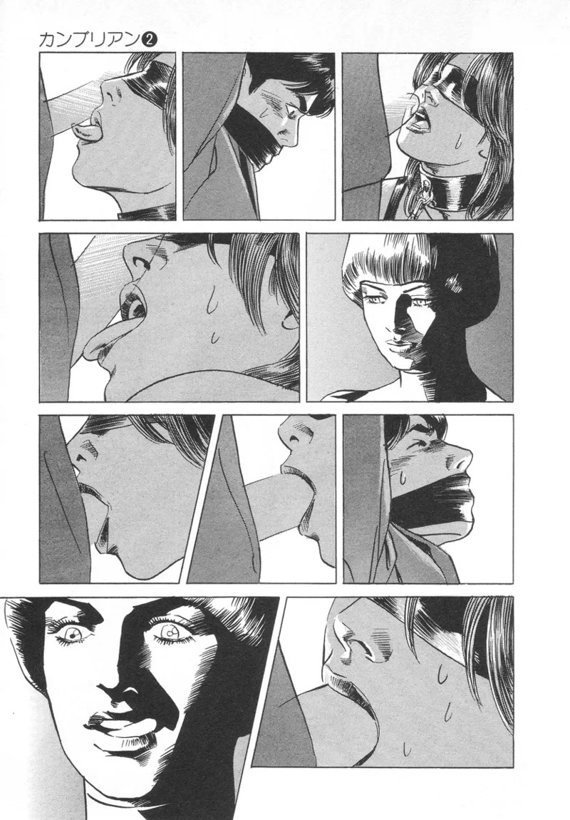 [Noboru Miyama] Kanburian Kanzenban Cambrian 02 - Page 11