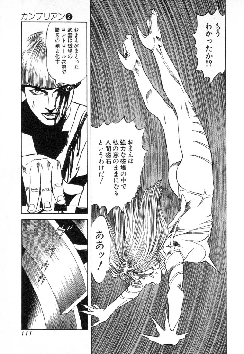 [Noboru Miyama] Kanburian Kanzenban Cambrian 02 - Page 112