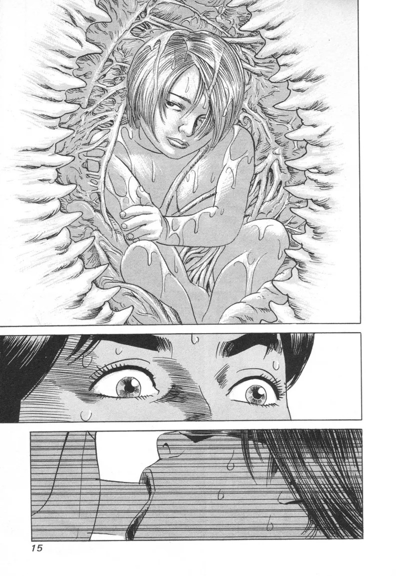 [Noboru Miyama] Kanburian Kanzenban Cambrian 02 - Page 17