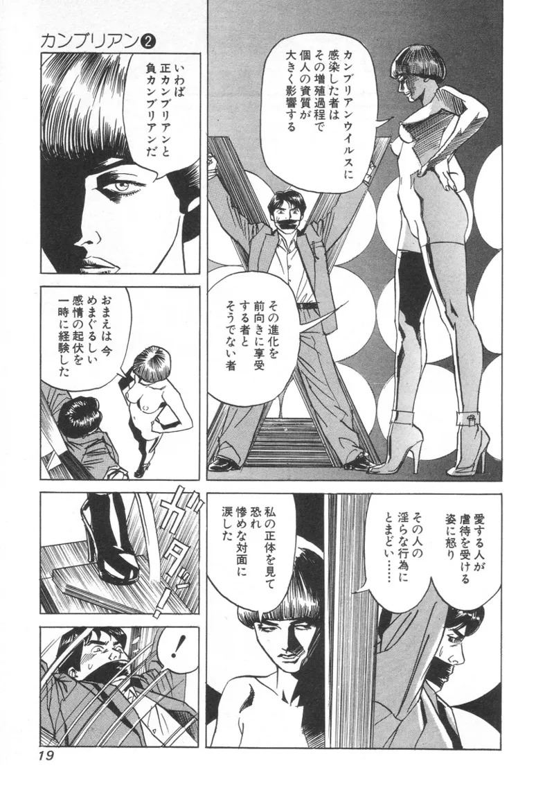 [Noboru Miyama] Kanburian Kanzenban Cambrian 02 - Page 21