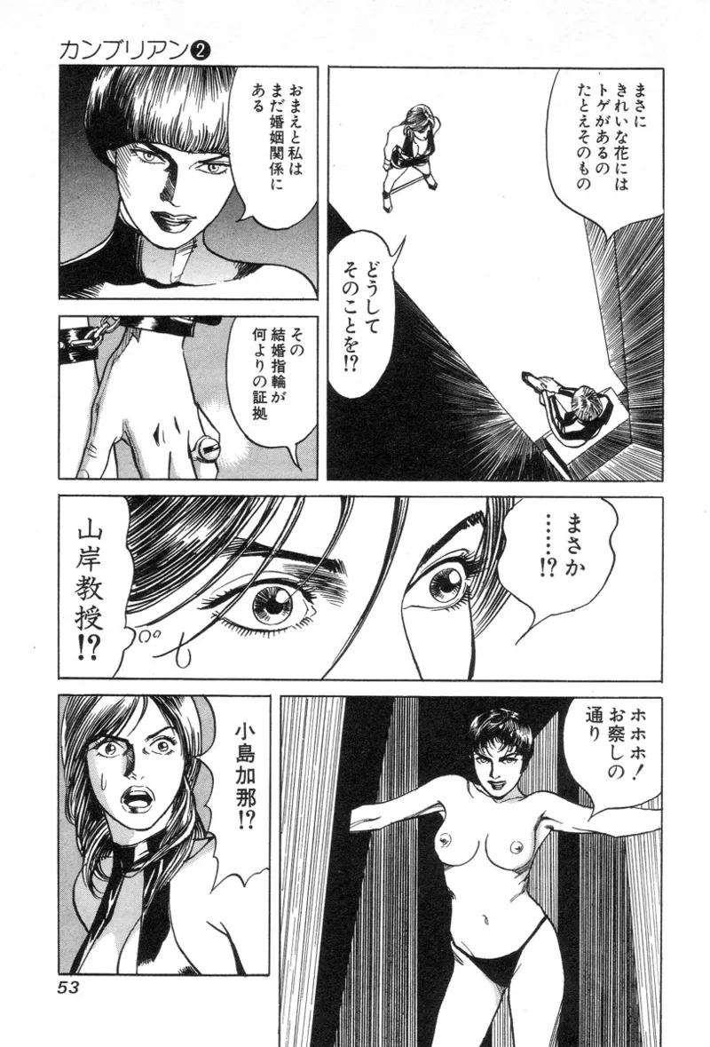 [Noboru Miyama] Kanburian Kanzenban Cambrian 02 - Page 55