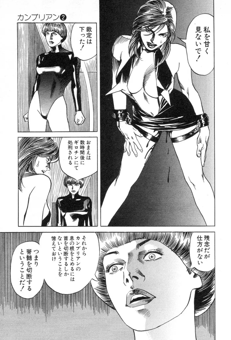 [Noboru Miyama] Kanburian Kanzenban Cambrian 02 - Page 61