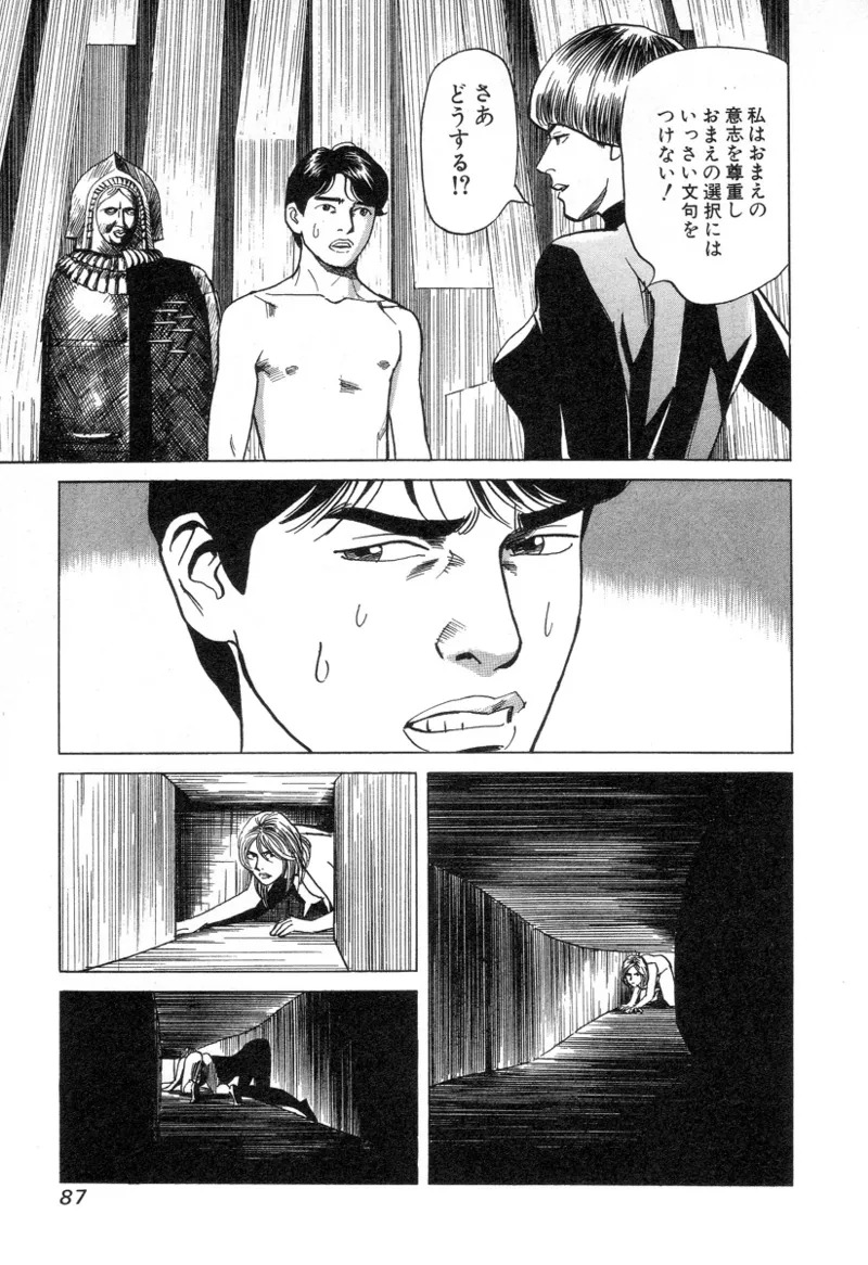 [Noboru Miyama] Kanburian Kanzenban Cambrian 02 - Page 88