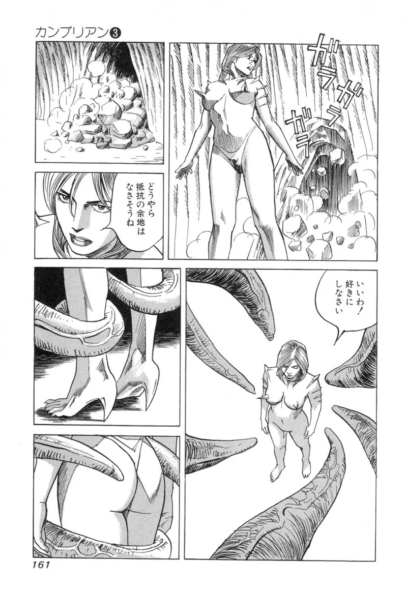 [Noboru Miyama] Kanburian Kanzenban Cambrian 03 - Page 161